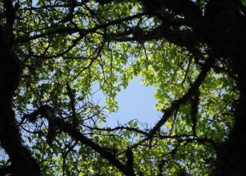 Australia, New Zealand, Fiji, Marshall Islands, Micronesia, Nauru, Palau, Papua New Guinea, Samoa, Solomon Islands, Tonga, Tuvalu Travellers Can Face Electronic Travel Authorisation (ETA) To Enter in UK: New Update for Tourists – Travel And Tour World