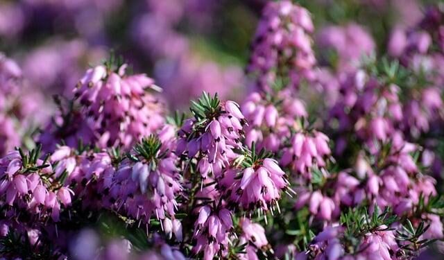 Rumor: Erik Brännström To Switzerland – The Hockey News