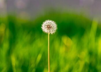 Why Is The Bold and the Beautiful Returning to Italy? Here’s What We Know – Yahoo