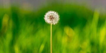 Why Is The Bold and the Beautiful Returning to Italy? Here’s What We Know – Yahoo