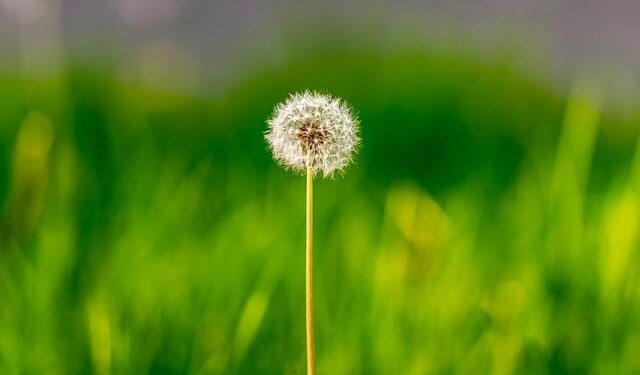 Why Is The Bold and the Beautiful Returning to Italy? Here’s What We Know – Yahoo