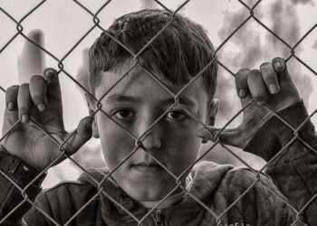 Chain-link fencing protects livestock from big cat attacks in Tanzania: Study – Mongabay