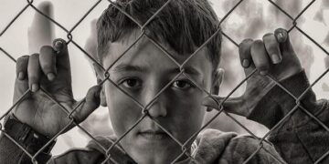 Chain-link fencing protects livestock from big cat attacks in Tanzania: Study – Mongabay