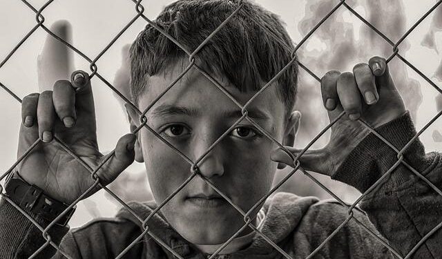 Chain-link fencing protects livestock from big cat attacks in Tanzania: Study – Mongabay