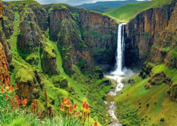 ‘Don’t want to die’: Lesotho HIV patients look to traditional medicine – MSN