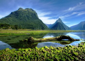 New Zealand exits recession as fourth-quarter growth beats forecasts – Reuters