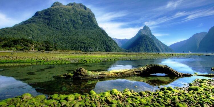 New Zealand exits recession as fourth-quarter growth beats forecasts – Reuters