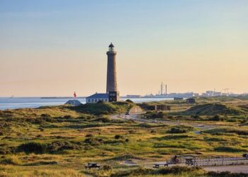 Denmark, Netherlands React to Trump’s DEI Ultimatum – Newsweek