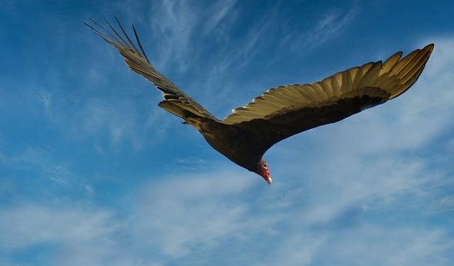 France’s M&P, Spain’s Repsol say Venezuela oil licences revoked by US – Reuters