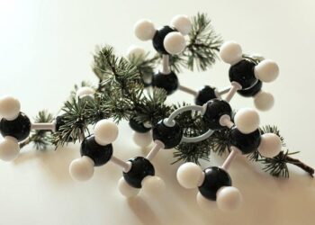 Advancing green hydrogen production in Algeria with opportunities and challenges for future directions – Nature