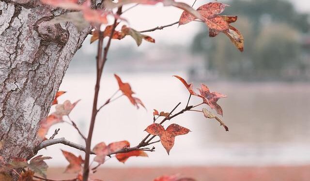 These are the world’s happiest countries in 2025 – CNN