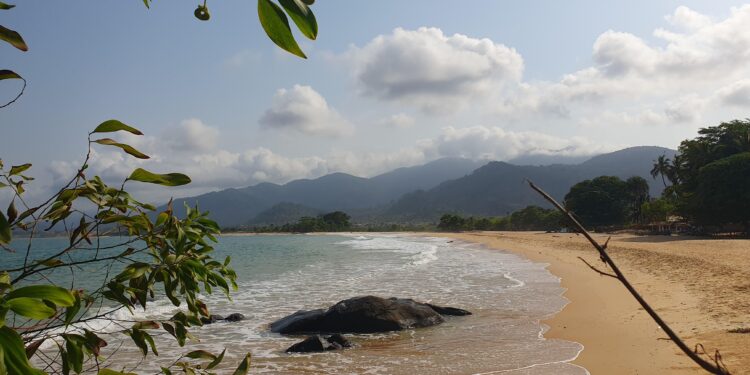 Sierra Leone Kush Women – goSkagit