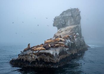 Chagos Islands deal: New Mauritius PM has reservations about agreement with UK – BBC