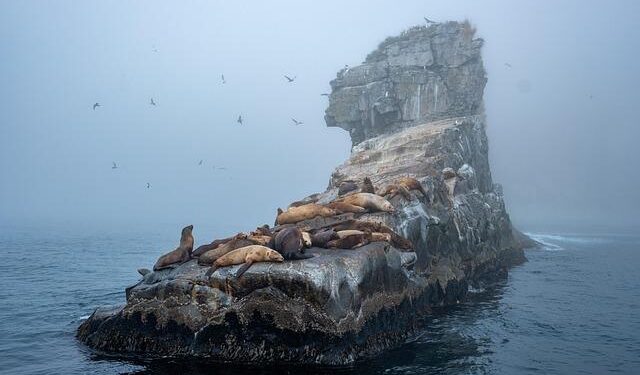 Chagos Islands deal: New Mauritius PM has reservations about agreement with UK – BBC