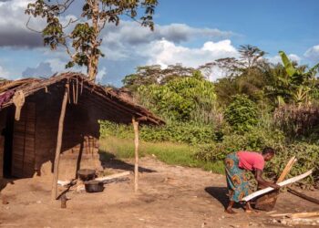 DRC and M23 rebels to begin direct talks next week, mediator Angola says – Al Jazeera