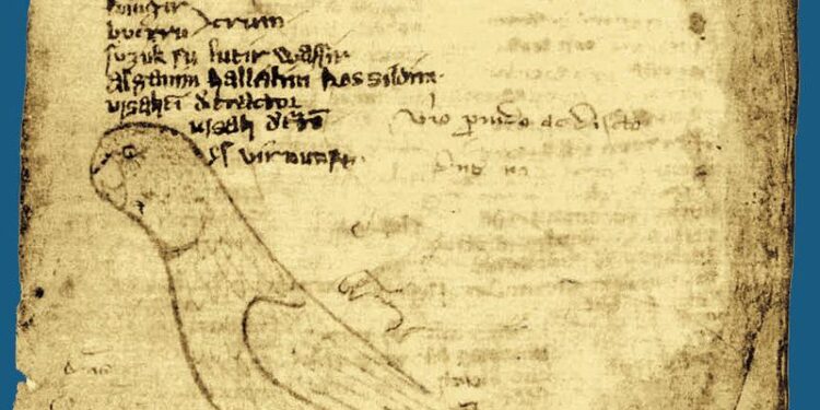 Codex of Türi: Study traces origins of Estonia’s oldest dated manuscript covers – Phys.org