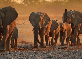 African destinations ranked among the world’s most beautiful – Business Insider Africa