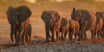 African destinations ranked among the world’s most beautiful – Business Insider Africa