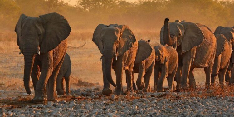 African destinations ranked among the world’s most beautiful – Business Insider Africa