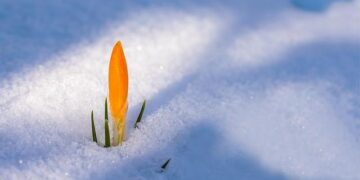 Spring Snow Blankets Parts of Albania – Albanian Daily News