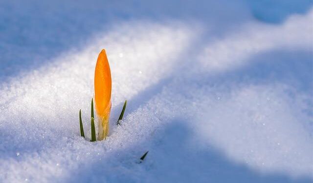 Spring Snow Blankets Parts of Albania – Albanian Daily News