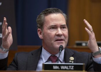 Opinion – Why America needs Mike Waltz – Yahoo