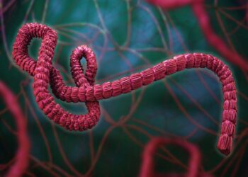 Number of confirmed Ebola cases in Uganda rises to nine – Reuters