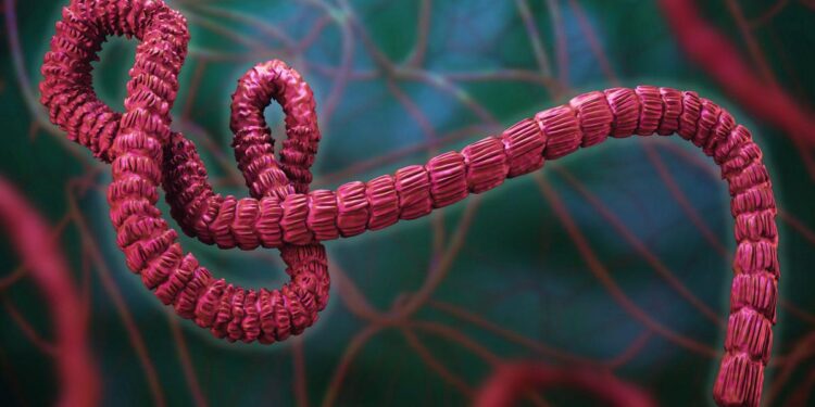 Number of confirmed Ebola cases in Uganda rises to nine – Reuters