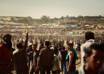 US-Israel working on exiling Gaza Palestinians not only from Gaza but Arab land, in touch with three Muslim c – India.Com