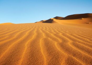 Sahara desert, once lush and green, was home to mysterious human lineage – Reuters