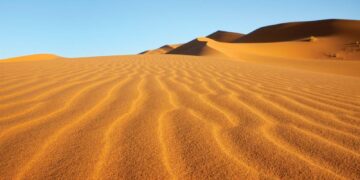 Sahara desert, once lush and green, was home to mysterious human lineage – Reuters