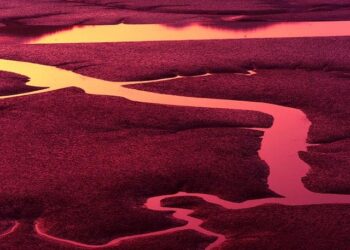 Geo-spatial pattern and determinants of composite index of anthropometric failure among children under five in Ethiopia – Nature