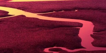 Geo-spatial pattern and determinants of composite index of anthropometric failure among children under five in Ethiopia – Nature