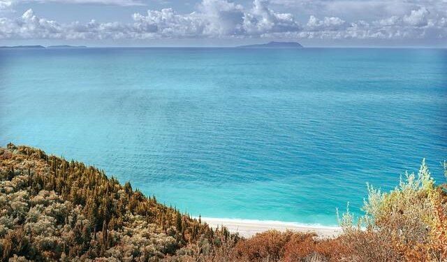 Albania picks Netherland’s Oma design for Tirana stadium redevelopment – SeeNews