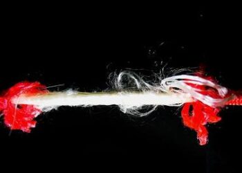 Tension and Collusion: State-Business Relations in Saied’s Tunisia – Carnegie Endowment for International Peace