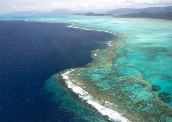 Over 10,000 left New Caledonia – Islands Business