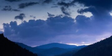 Ukraine Fires Back at GOP House Rep’s Call To Cede Land to Russia – Newsweek