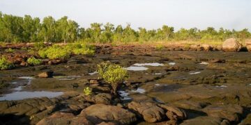 Kimberly Guilfoyle, nominee for ambassador to Greece: About Trump Jr.’s ex-fiancee, her new job – The Palm Beach Post