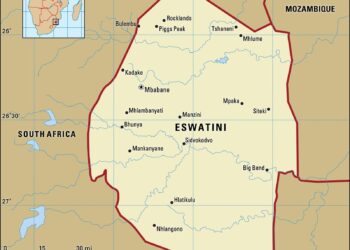 Eswatini National MSME Policy 2024-2029 – United Nations Development Programme