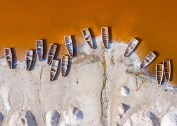 Senegal ex-president Sall ‘could face charges’ following public finances report – RFI