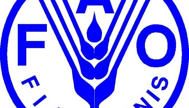 FAO GIEWS Country Brief on Mali – – fao.org