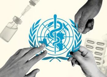 WHO and Lesotho Ministry of Health collaborate to advance national Digital Health Strategy – World Health Organization (WHO)