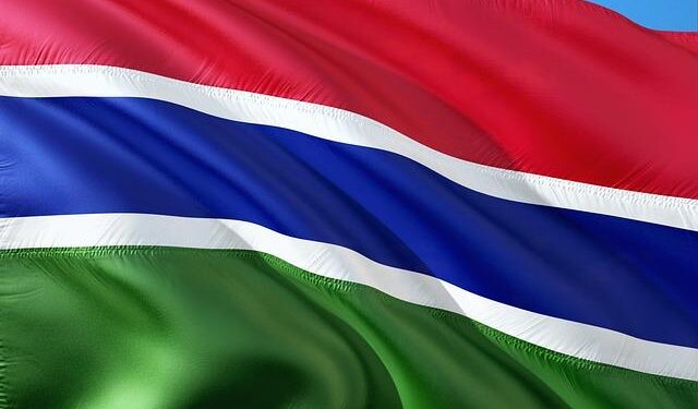 Gambia revives discussion of draft constitution – ConstitutionNet