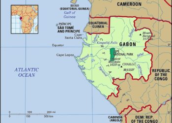 Gabon approves new constitution in referendum – ConstitutionNet