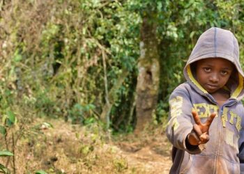 Cameroon – General Debate