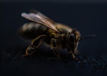 Oceania Cruises Unveils 2026-2027 Tropics and Exotics Collection with Voyages to the UAE, Australia, New Zealand, Mexico, Brazil, Hong Kong, Singapore and Around the World – Travel And Tour World