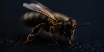 Oceania Cruises Unveils 2026-2027 Tropics and Exotics Collection with Voyages to the UAE, Australia, New Zealand, Mexico, Brazil, Hong Kong, Singapore and Around the World – Travel And Tour World