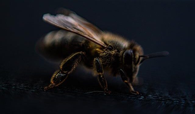 Oceania Cruises Unveils 2026-2027 Tropics and Exotics Collection with Voyages to the UAE, Australia, New Zealand, Mexico, Brazil, Hong Kong, Singapore and Around the World – Travel And Tour World