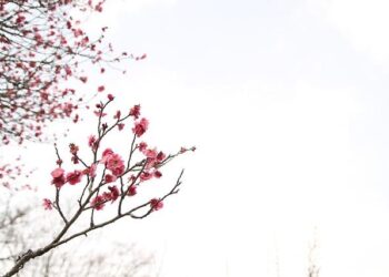 Europe just had warmest March on record – Reuters