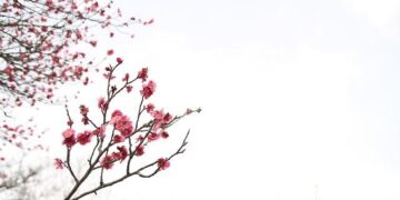 Europe just had warmest March on record – Reuters